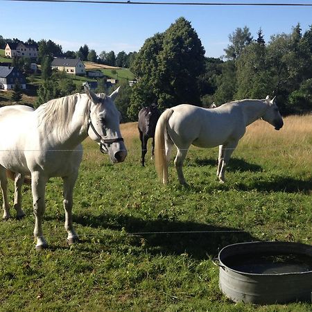 Ferienwohnung Unger Stutzengrun Zewnętrze zdjęcie