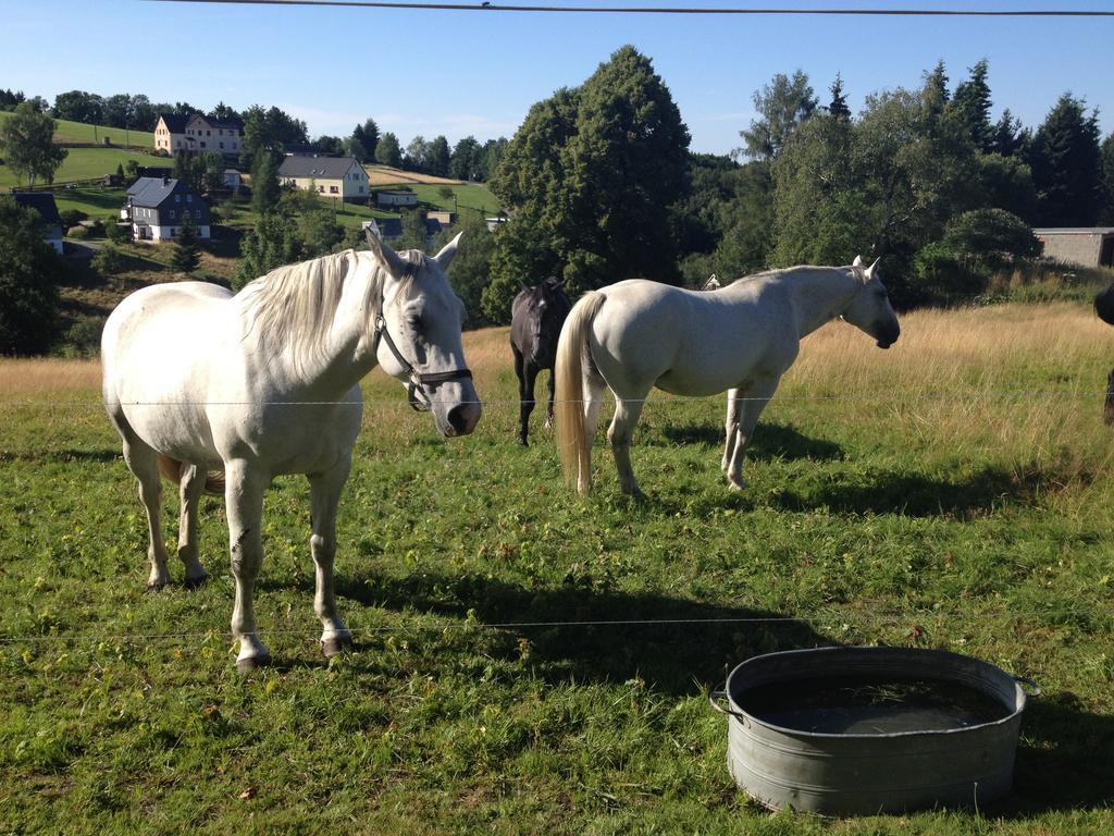 Ferienwohnung Unger Stutzengrun Zewnętrze zdjęcie